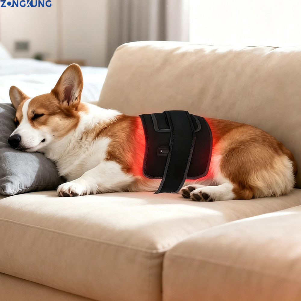 Galvanic Skin Sensor - Rode Lichttherapie voor Huisdieren Dierenartsapparaat Handheld